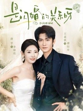 是閃婚的關(guān)系呀海報